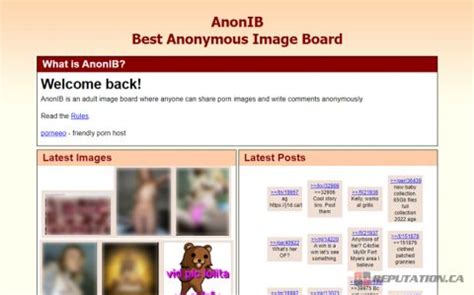 what is anon ib|Le site de revenge porn Anon